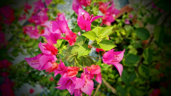 Astuces Infaillibles pour Réussir dans l'Investissement Immobilier d'Entreprise : Guide Complet