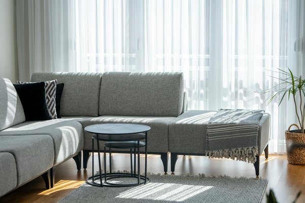 Transformez Votre Brouette : Guide de Peinture et Personnalisation Inspirante